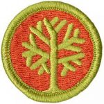 genealogy merit badge