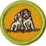dog care merit badge