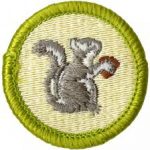 mammal study merit badge