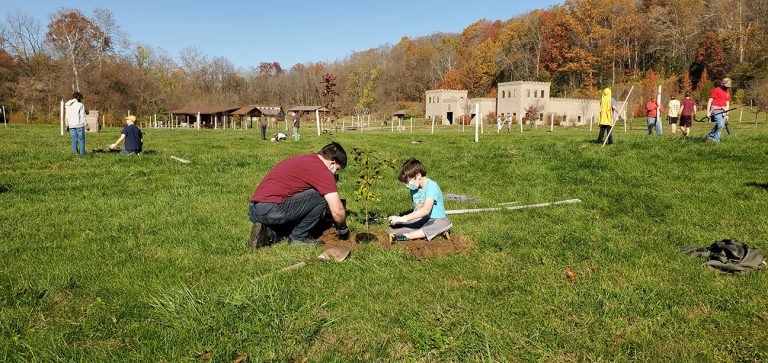 Camp Conservation Day 2020