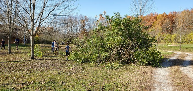 Camp Conservation Day 2020