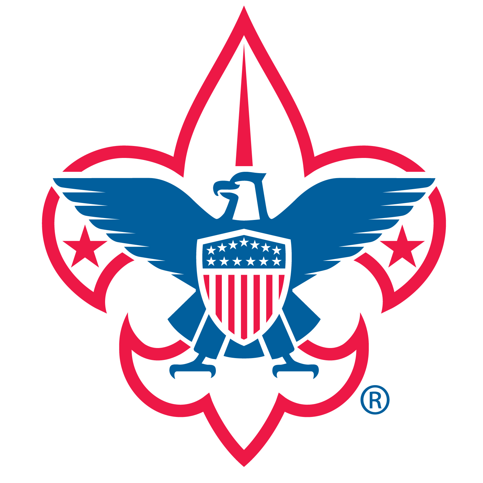BSA Corporate - Fleur de lis Logo